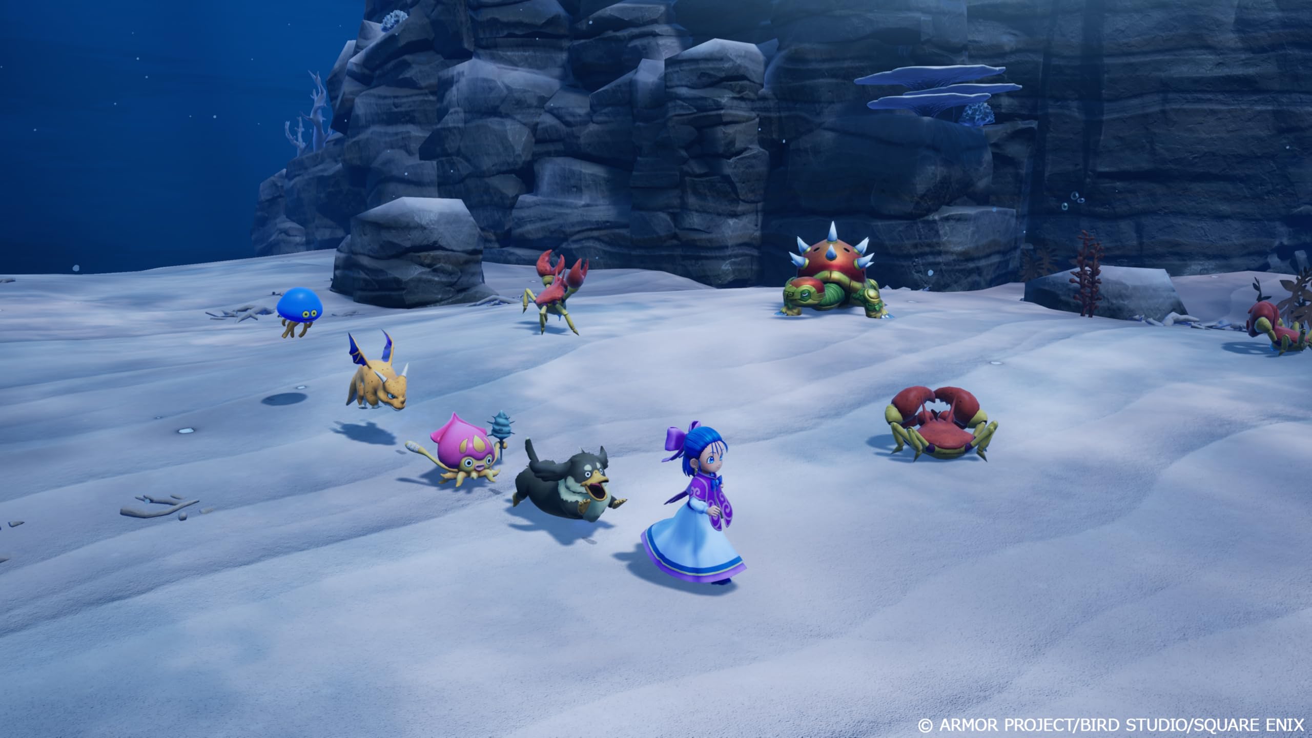 square-enix-dragon-quest-monsters-die-welkende-welt-switch-2-spiel image 7
