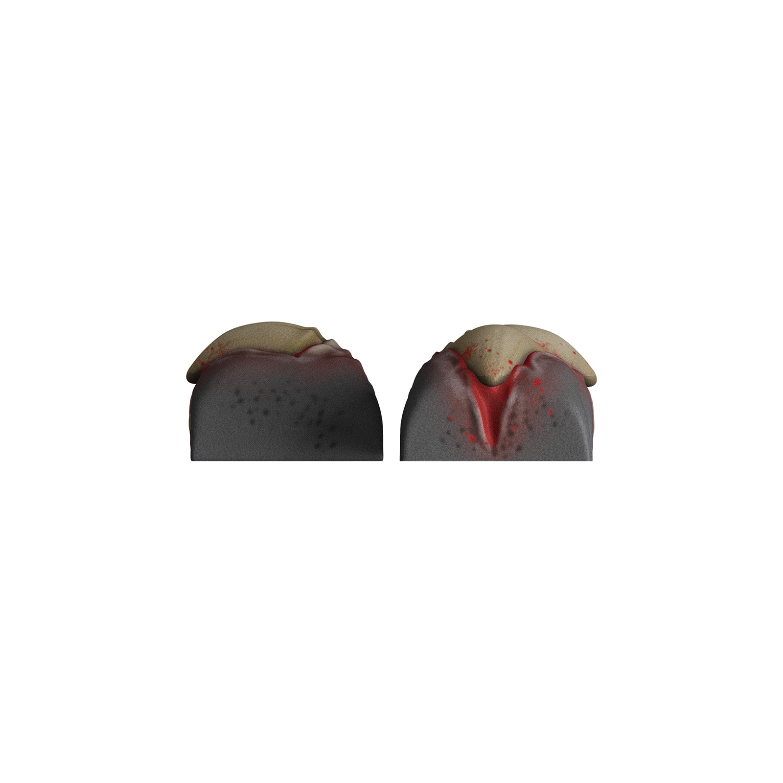 hyperx-hx3d-movement-set-keycap-pack-werewolf-bunt image 5