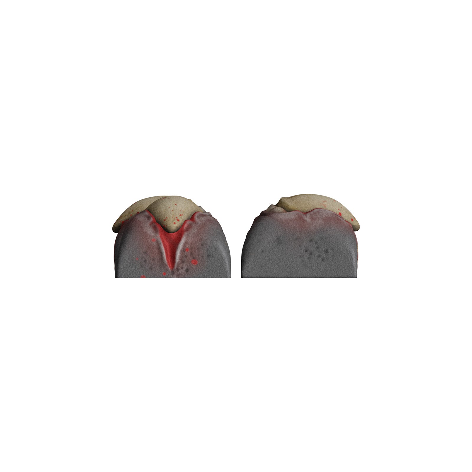 hyperx-hx3d-movement-set-keycap-pack-werewolf-bunt image 6
